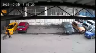 Kaçan Köpeğin Saldırısına Uğrayan Çocuk Babası Tarafından Kurtarıldı