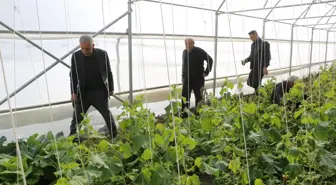 Yüksekova'da Köye Dönüş Projesi ile Tarıma Dönüş
