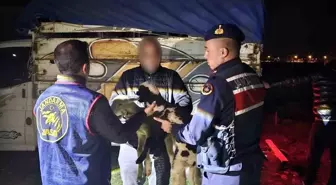 Afyonkarahisar'da Küçükbaş Hayvan Hırsızlığı Aydınlatıldı