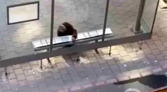 Duyarlı Vatandaşın Örnek Davranışı: Midyat'ta Durakta Halı Kaplanması