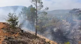 Mersin'de Yabani Ot Temizlerken Yangında Can Veren Yaşlı Adam