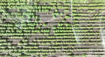 Tarımda su kıtlığının önüne geçebilmenin en iyi yolu; modern sulama sistemleri