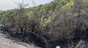 Adana'da Orman Yangını Söndürüldü