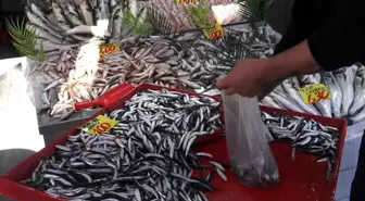 Çankırı'da Hamsi Fiyatları 100 Liraya Düştü