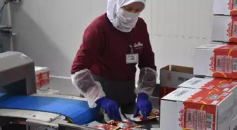 Afyonkarahisar'da Leblebi Kreması Dünya Pazarına Açılıyor