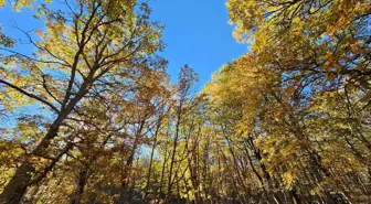 Dünyada bir tek Isparta'da var! İzinsiz girmenin cezası bir servet değerinde
