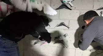 İskenderun'da Uyuşturucu ve Silah Ele Geçirildi, Şüpheli Tutuklandı