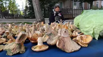 Tavşanlı'daki Semt Pazarlarında Melki Mantarı Rüzgarı