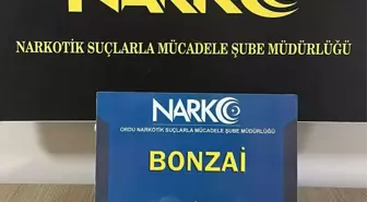 Ordu'da Uyuşturucu Operasyonu: 3 Şüpheli Tutuklandı