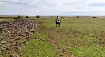 Siverek'te Kazalar ve Düşme Anları Kamerada