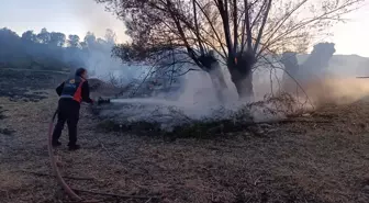 Sivas'ta Anız Yangını: 200 Ağaç Yanarak Zarar Gördü