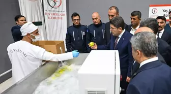 Adıyaman'da Tarım Mükemmeliyet Merkezi Açıldı