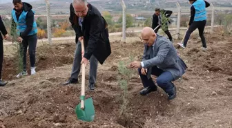 Tokat'ın Zile İlçesinde Fidan Dikim Etkinliği Düzenlendi
