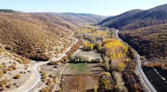 Tokat'ın Yeşilyurt İlçesinde Sonbahar Renkleri