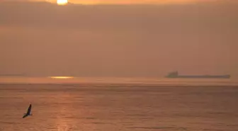 Edirne, Kırklareli ve Tekirdağ'da Sis Etkili Oluyor