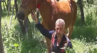 Diyarbakır'da Babasını Öldüren Gence 15 Yıl 10 Ay Hapis