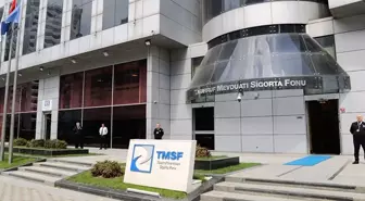 Kayyum atanan Hat Holding ne iş yapar?