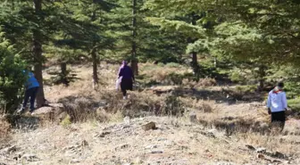 Kilosu etle yarışıyor! Japonların gözdesi 'beyaz altın'da hasat başladı