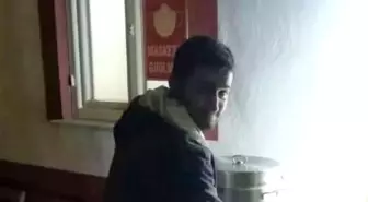 Ordu'da Trafik Kazası: 1 Kardeş Hayatını Kaybetti, 2 Kişi Yaralı