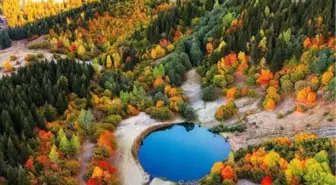 Şavşat'ta Sonbahar Renk Cümbüşüne Dönüştü