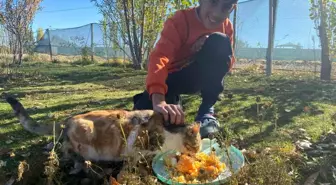 Sokak Hayvanlarına Sevgiyle Bakıyor
