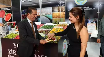 Adana'da Tropikal Meyveler Şaşırttı