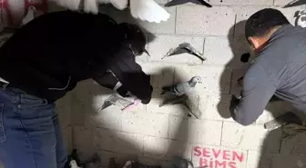 Hatay'da Uyuşturucu Operasyonu: 2,5 Kilo Kannabinoid ve Nakit Para Ele Geçirildi