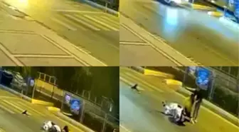 Mersin'deki Motosiklet Kazasında Köpeğin Duygulandıran Bekleyişi