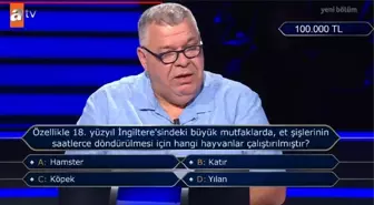 Özellikle 18. yüzyıl İngiltere'sindeki büyük mutfaklarda, et şişlerinin saatlerce döndürülmesi için hangi hayvanlar çalıştırılmıştır?