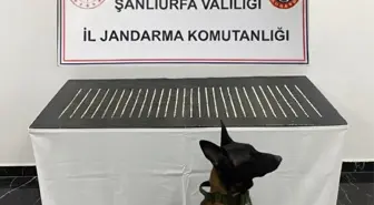 Şanlıurfa'da Uyuşturucu Ticareti Yapan 4 Şüpheli Yakalandı