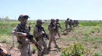 Şanlıurfa'da Uyuşturucu ve Kaçakçılıkla Mücadele Operasyonu