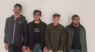 Siirt'te durdurulan minibüste sahte pasaportla 4 düzensiz göçmen yakalandı