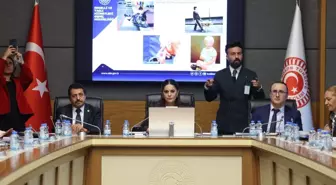 TBMM Engelli Bireylerin Sorunlarını Araştırma Komisyonu toplandı