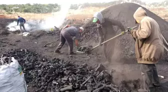 Silifke'de Aileler Meşe Kömürü Üreterek Geçim Sağlıyor