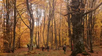 İnegöl Dağları Sonbaharda Doğaseverleri Ağırlıyor
