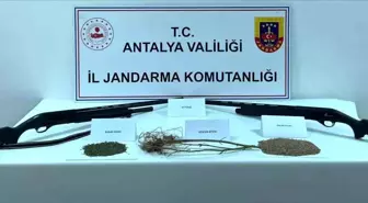 Antalya'da Jandarma Uyuşturucu Operasyonu: Çok Sayıda Madde Ele Geçirildi