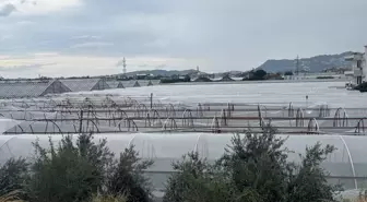 Antalya'da Kuvvetli Yağış Sebebiyle Seralara Zarar