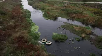 Prof. Dr. Sarı'dan Gönen Çayı Kirliliğine Önemli Uyarı