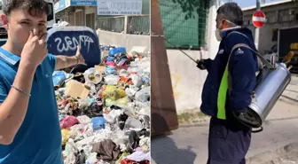 Çöp krizi istilaya dönüştü, şehir dört koldan ilaçlanıyor
