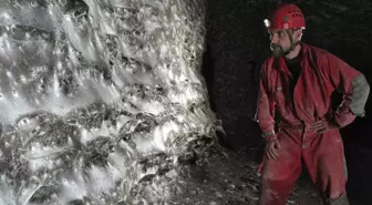 Dünyanın en büyük örümcek ağı keşfedildi