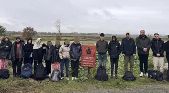 Edirne'de Yasa Dışı Göçmen Operasyonu: 29 Yakalandı