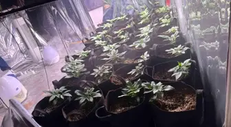 İzmir'de Yüklü Miktarda Uyuşturucu ile Yakalanan Şüpheli Tutuklandı