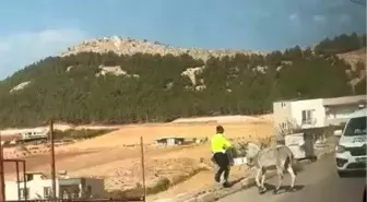 Adıyaman'da Başıboş Eşeğe Polis Müdahalesi