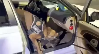 Erzurum'da Narkotik Operasyonu: 8 Kilo Metamfetamin Ele Geçirildi