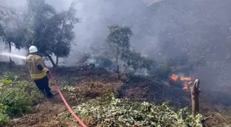 Hatay'da Bahçede Yangın, Evlere Sıçramadan Söndürüldü