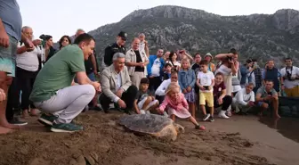 Muğla'daki 'Lansinoh' Caretta Caretta, 2 Bin Kilometre Yolda