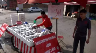 Samsunspor'un Başarısı Hamsi Fiyatlarını Düşürdü