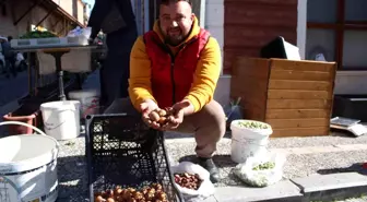 Aydın'ın Beşbıyık Meyvesi: Şifa Deposunun Pazar Rağbeti