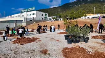 Bodrum'da Fidan Dikim Etkinlikleri Düzenlendi