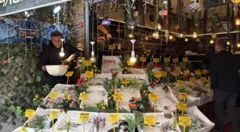 Siirt'te Kış Mevsiminde Balık Tercihi Arttı